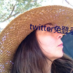 twitter免登录入口