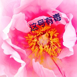 九游会登录j9入口 - 中国官方网站 | 真人游戏第一品牌