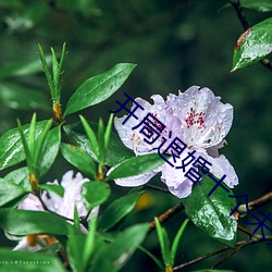开局(jú)退婚十个未婚妻