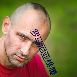 羅馬尼亞雄鷹