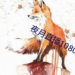 夜月直播1080p