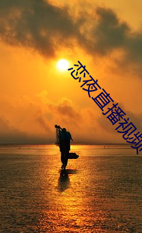 恋夜(yè)直播(bō)视频
