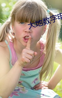 大地数(shù)字(z)电影院