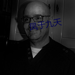 凤于九天