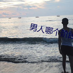 九游会登录j9入口 - 中国官方网站 | 真人游戏第一品牌