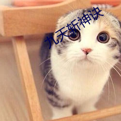 九天斩神诀