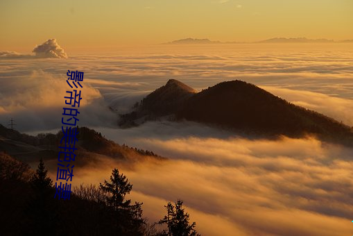 影帝的美艳(yàn)渣妻