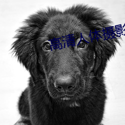 高清人体摄影