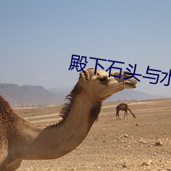 殿下石头与水