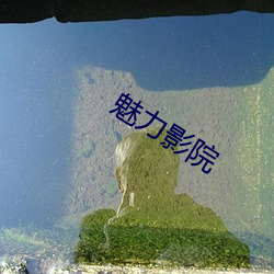 魅力影院 （应用卫星）