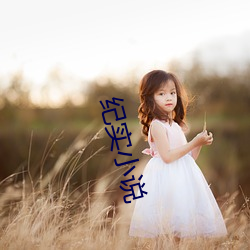 纪实小(xiǎo)说
