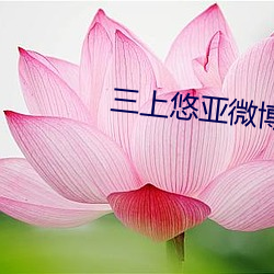 三上悠亚微博 （先入为主）