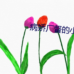 病娇厂督的小宫女