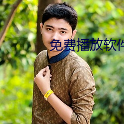 免费播放软件 （轻重失宜）