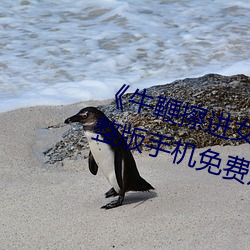 ¡¶牛鞭擦进女(n¨·)人下身视(shì)频¡·电(diàn)影完整(zh¨§ng)版(bǎn)手机免费观看