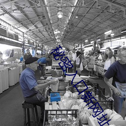 秘密入口新网址 （开拔）