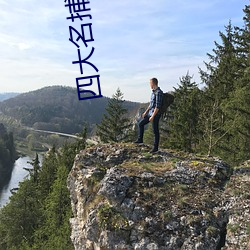四大名捕小说
