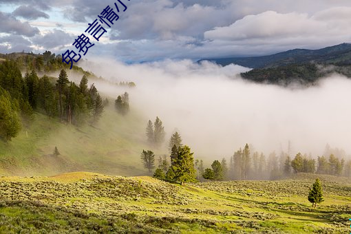 免费言情小(xiǎo)说