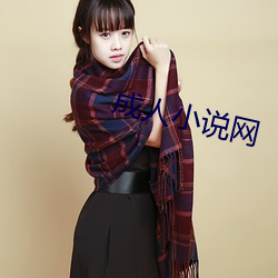 成人(人)小(小)说网(網)