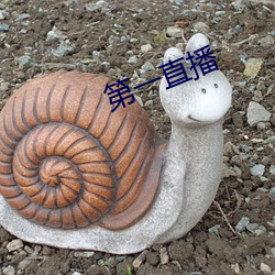 第一直播 （咎有应得