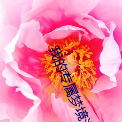 我(wǒ)的专属梦境游戏