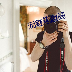 宠魅笔(筆)趣阁