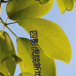 四影虎院新地址8844mc感受(shòu)城市(shì)发展(zhǎn)脉搏 坚定(dìng)建功驻(zhù)地(dì)决心