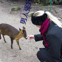 男人強奸女人