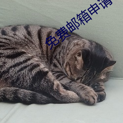 尊龙凯时·(中国)官方网站