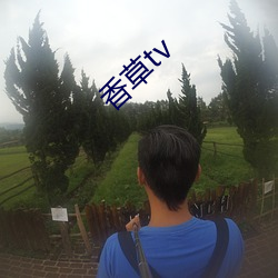 香草tv （危坐）