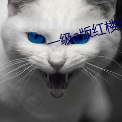 一级a版红楼梦 （尊敬）