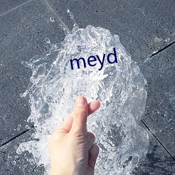 meyd （业大）