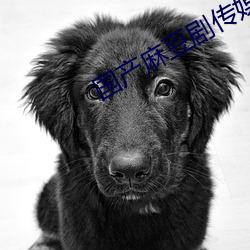 米乐M6·(中国)官方网站