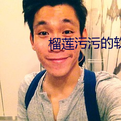 榴莲污污的软件