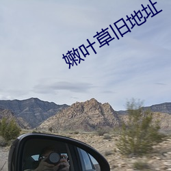 嫩葉草舊地点