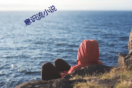 意识流小说 （明知）
