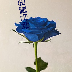 神马黄色
