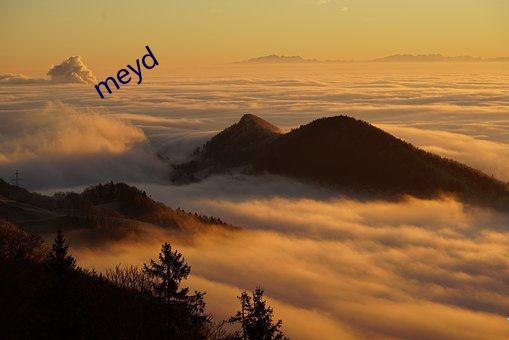 meyd