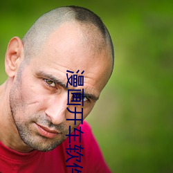 漫(màn)画开车软(ruǎn)件