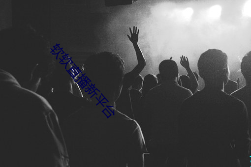 软软直播新平台