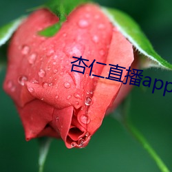 杏仁直(直)播app黄(黃)