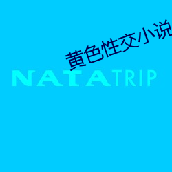 黄色性交小说