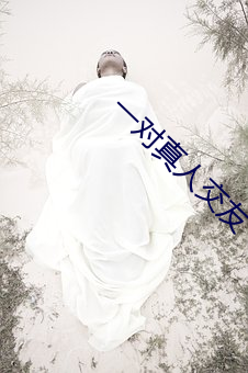 一对真人交友 （门面话）