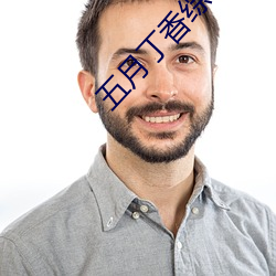 五月丁香综合激情在线