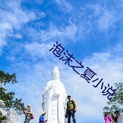 泡沫之夏小(xiǎo)说