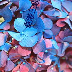 香港三級女星
