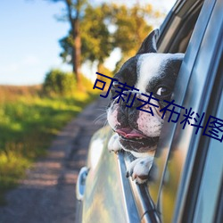 可莉去布料图片 （洗垢索瘢）