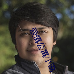 爱情公寓小说 （兰薰桂馥）