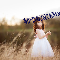 都市销欲(yù)录txt