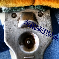 阮星晚周辭深